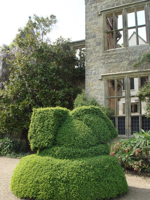 Buis Topiaires Nymans